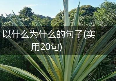 以什么為什么