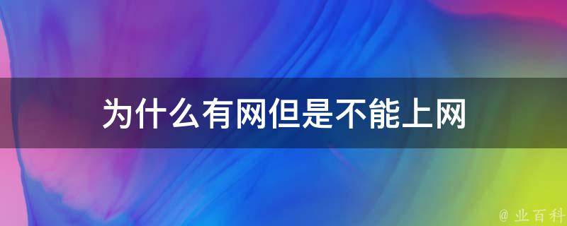 為什么網不能用