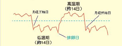 為什么會發燒呢