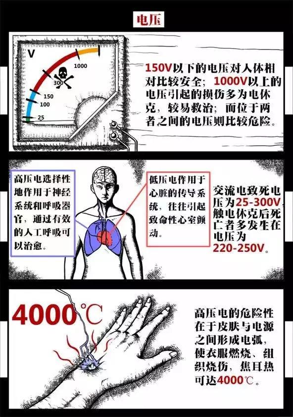 電為什么會電死人