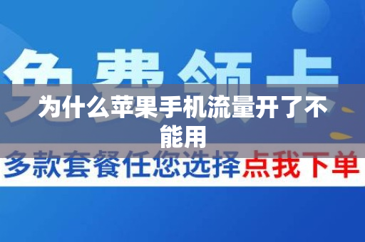 開了流量為什么用不了