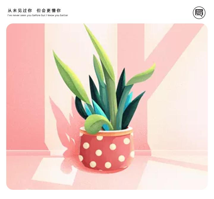 為什么不能發朋友圈