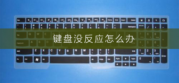 鍵盤為什么沒反應