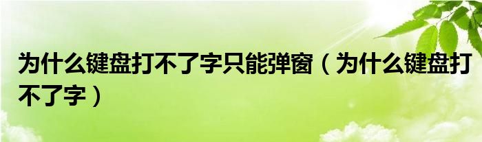 為什么鍵盤打不了字