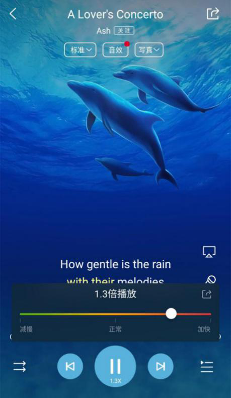 酷狗音樂為什么播放不了