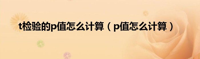 t為什么不讓p碰