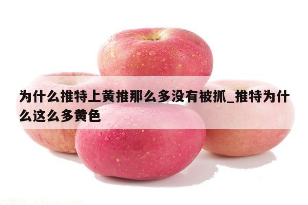 推特為什么中國被禁用