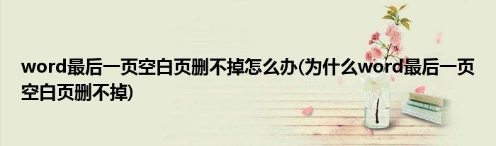 為什么word空白頁刪不掉