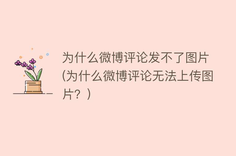 為什么微博發(fā)不了圖片