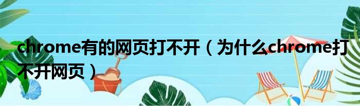 為什么chrome打不開網頁