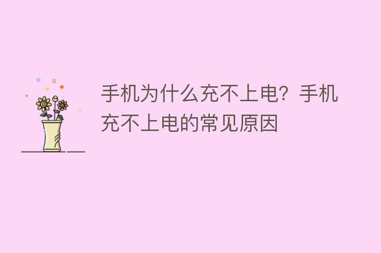 手機為什么充不上電