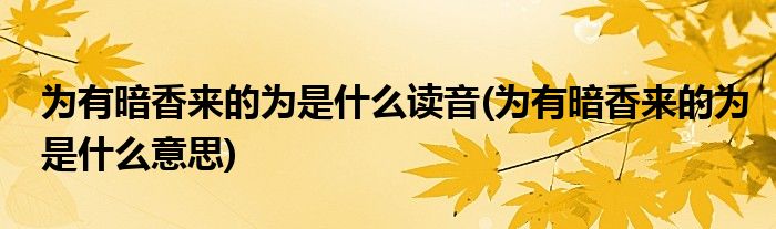 為什么的讀音