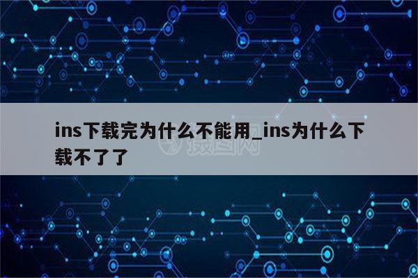 ins為什么不能用