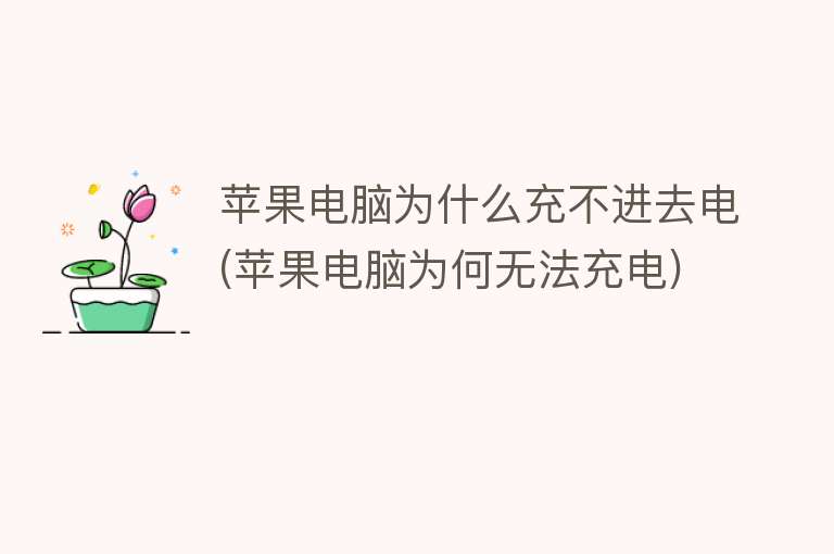 為什么電腦充不進去電