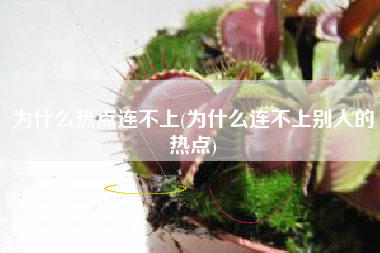 為什么個人熱點連不上