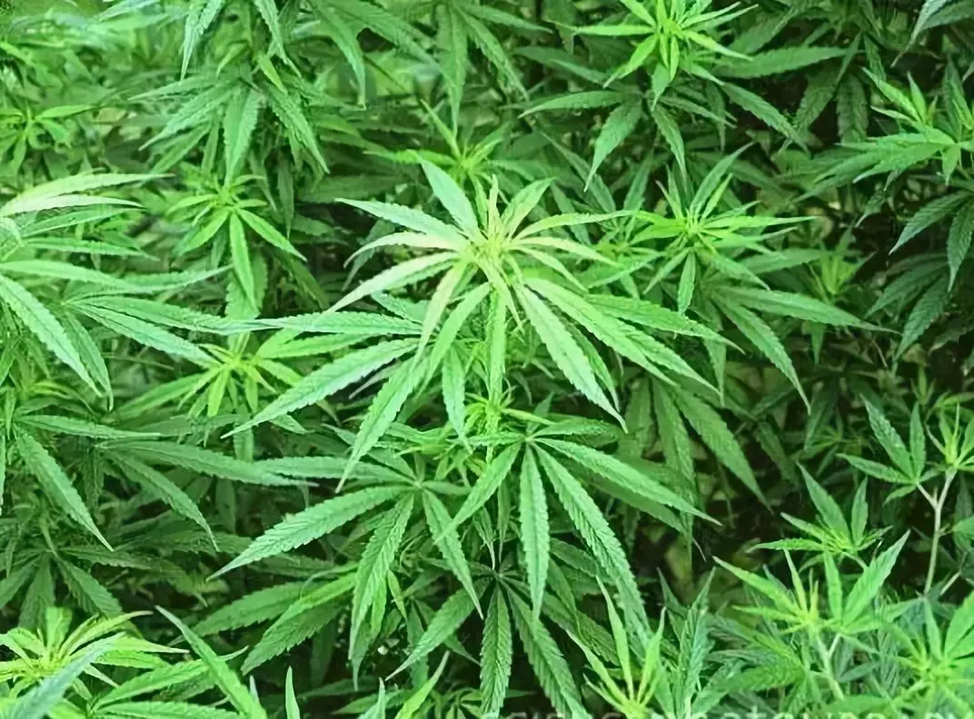 潘多拉主機(jī)怎么調(diào)試