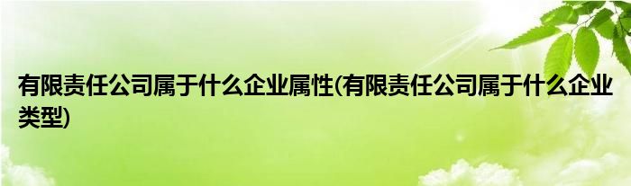 為什么叫有限公司