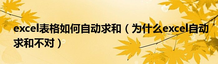 為什么表格求和不對