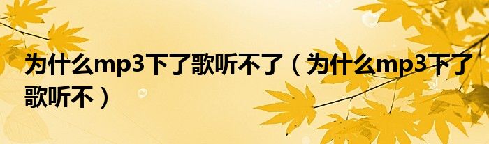 為什么沒有音樂