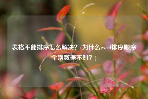 為什么excel排序不對