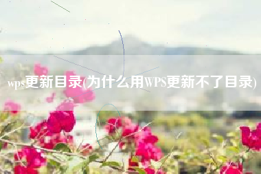 為什么無法更新目錄