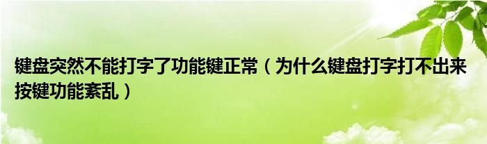 為什么手機不能打字